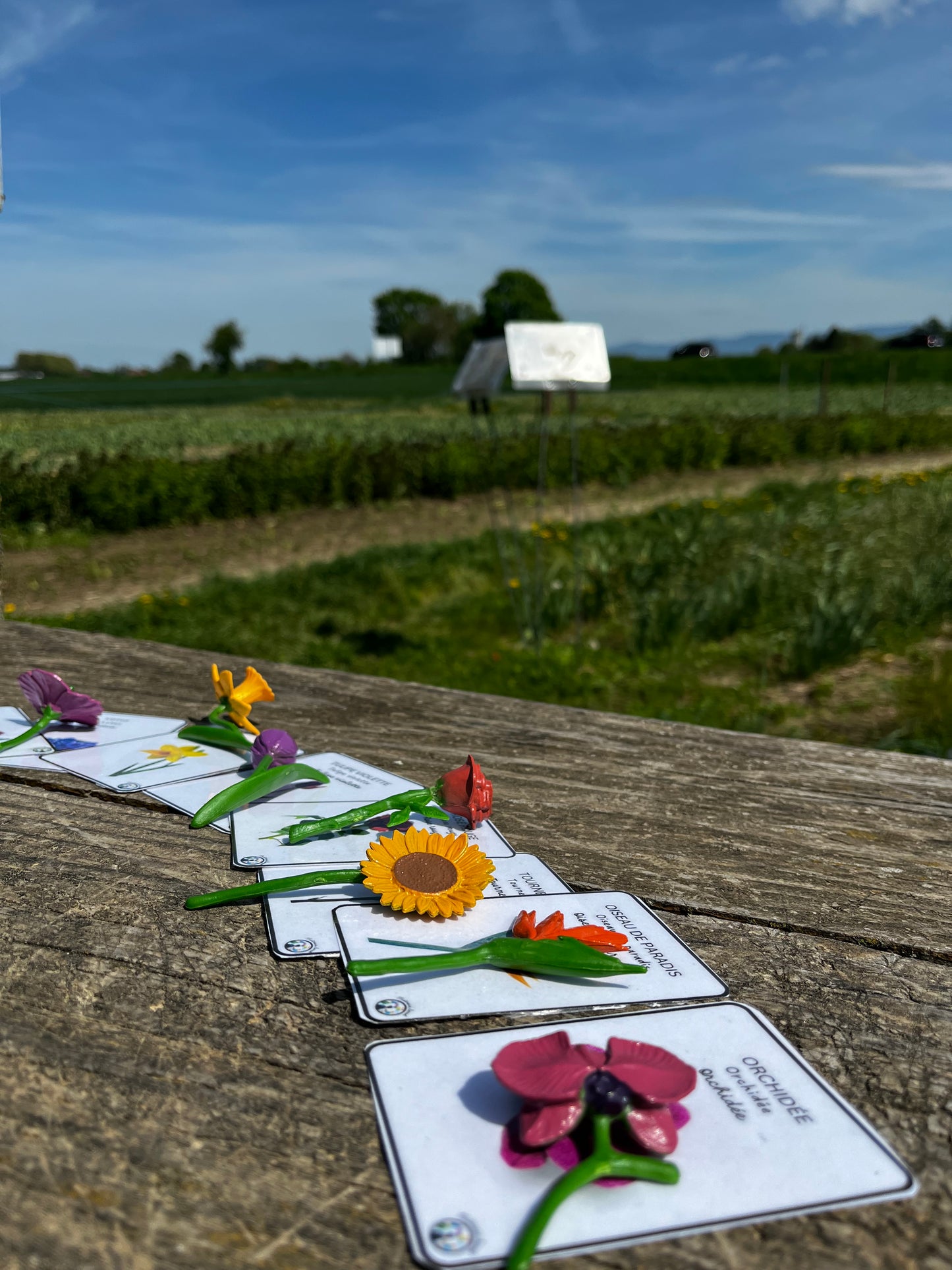 Notre atelier - "Les fleurs"