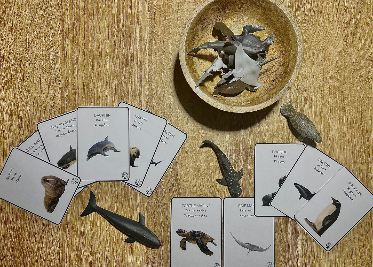 Notre atelier - "Les animaux marins"