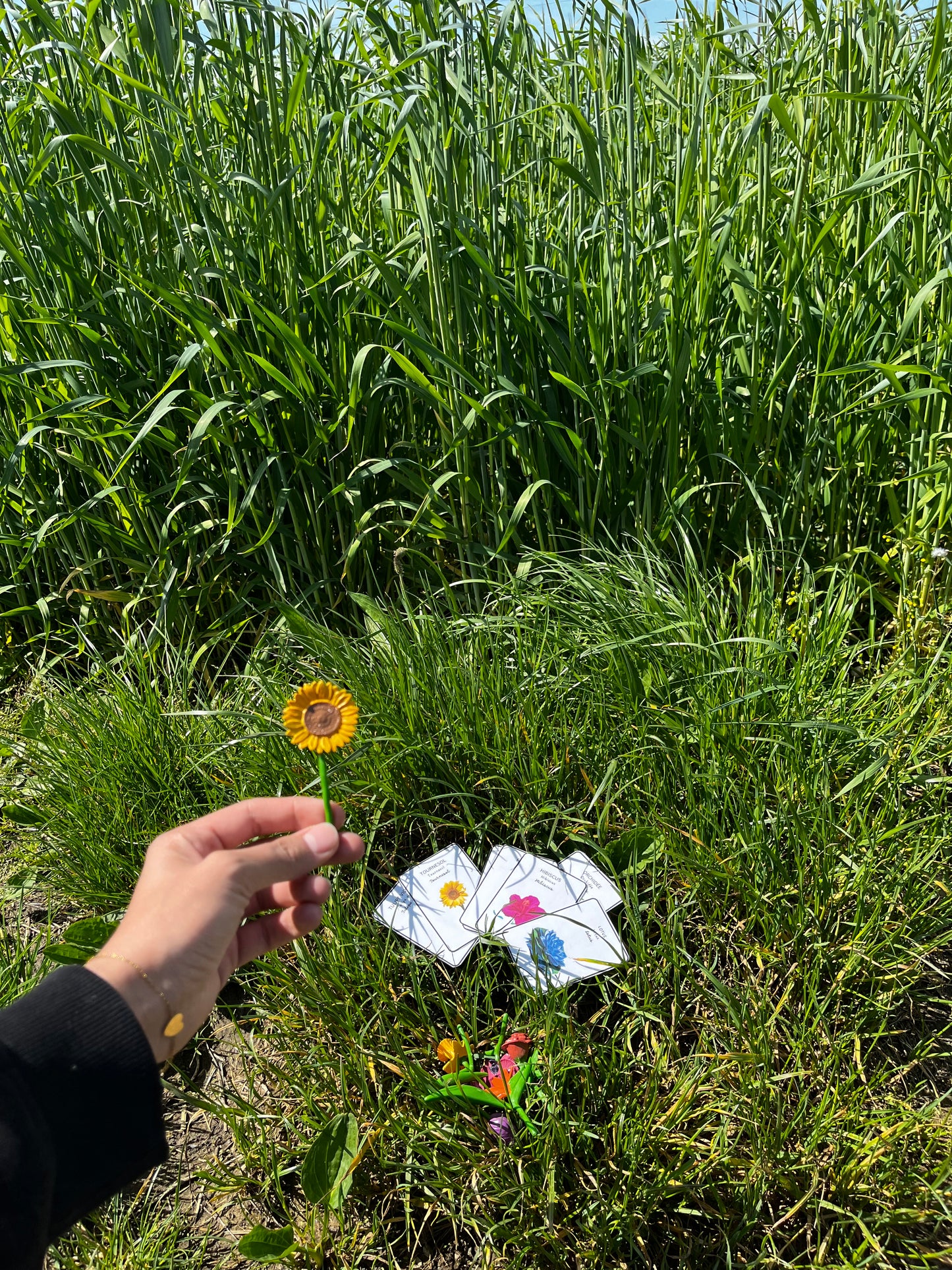Notre atelier - "Les fleurs"