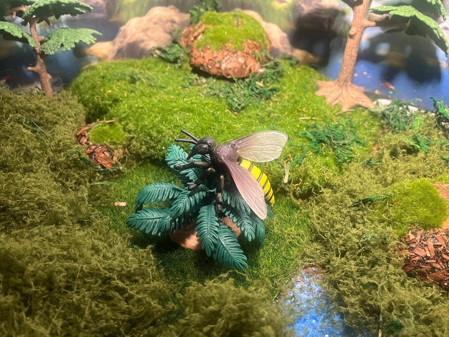 Notre atelier - "Les insectes"