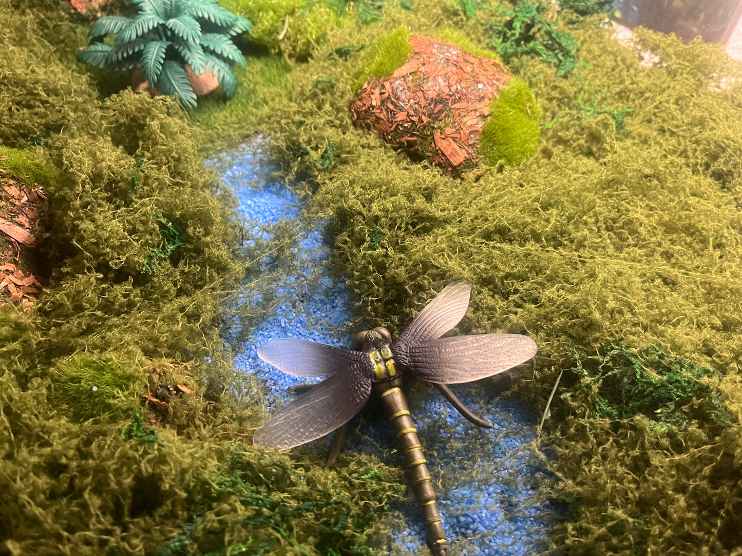 Notre atelier - "Les insectes"