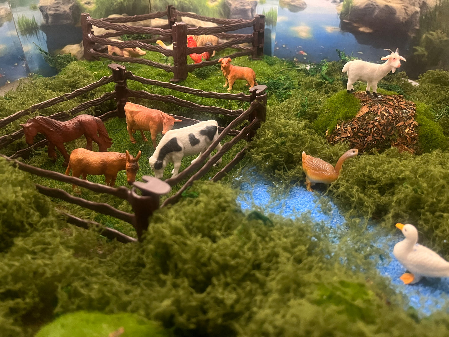 Notre atelier - " Les animaux de la ferme"