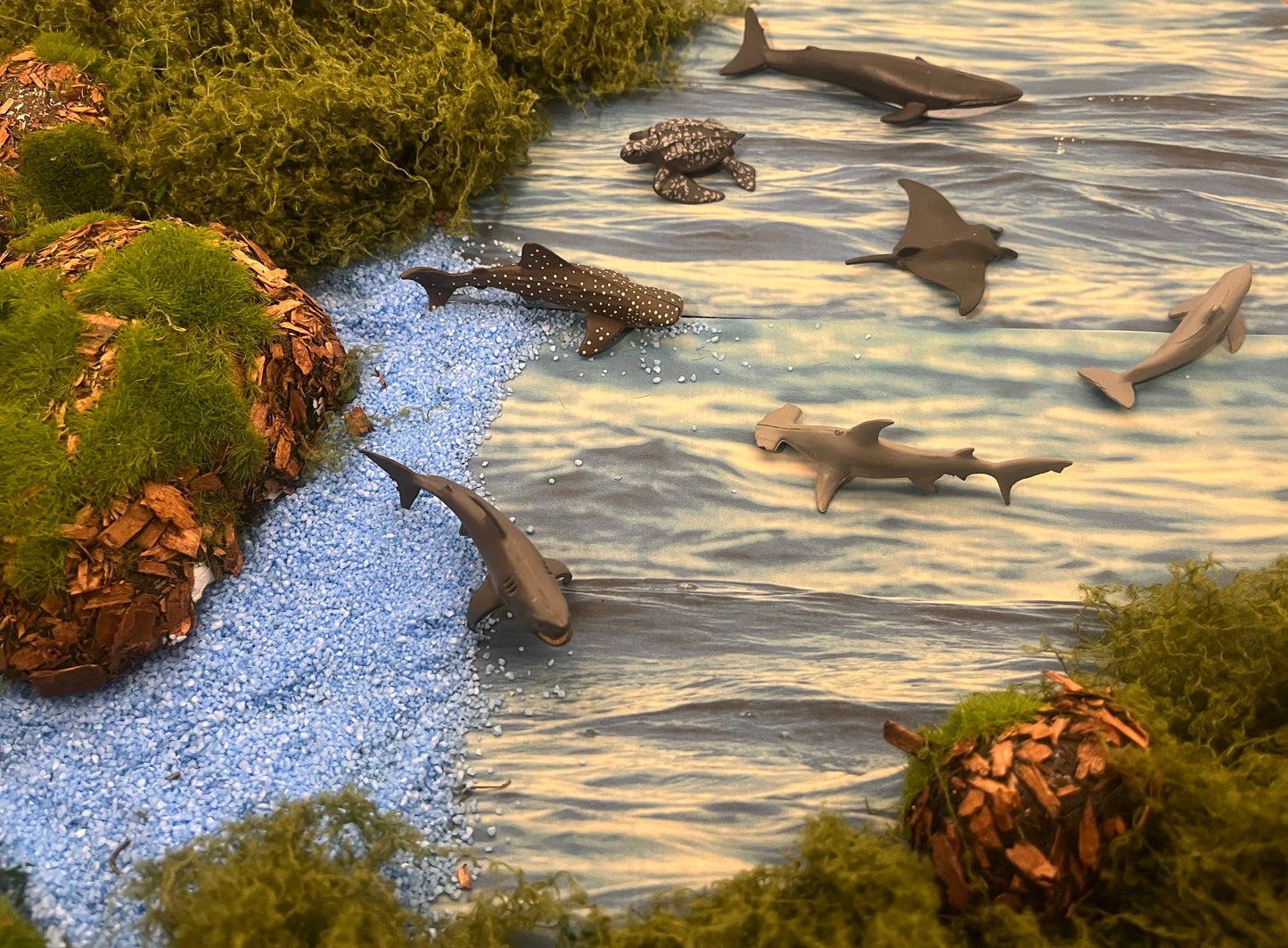 Notre atelier - "Les animaux marins"