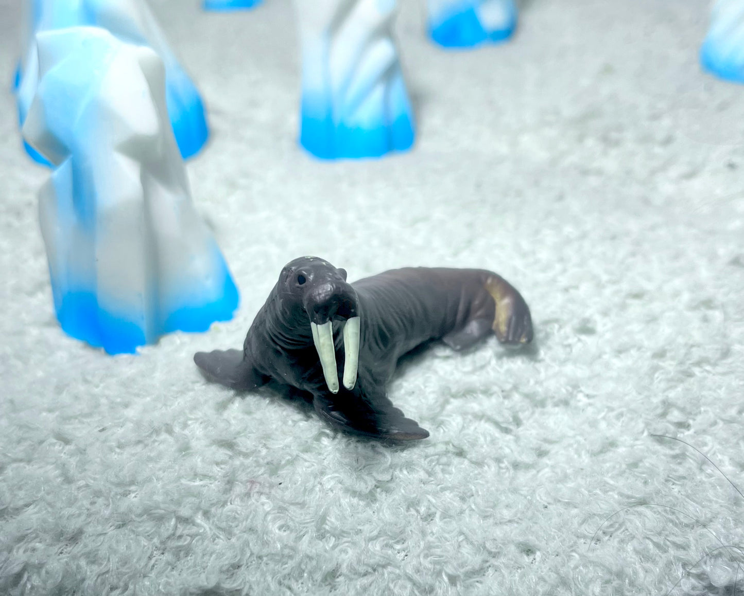 Notre atelier - "Les animaux marins"