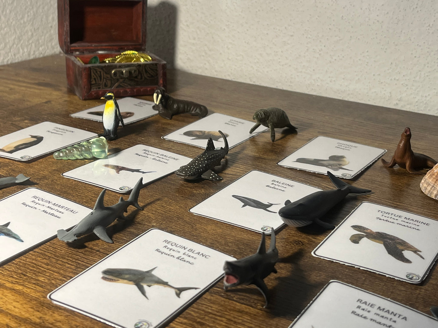 Notre atelier - "Les animaux marins"