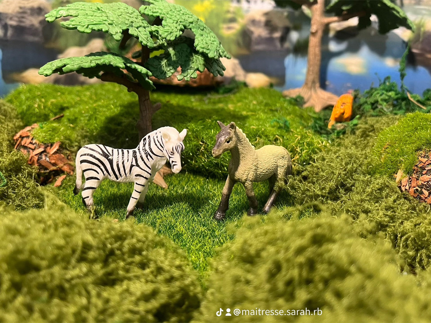 Notre atelier - "Les animaux sauvages"