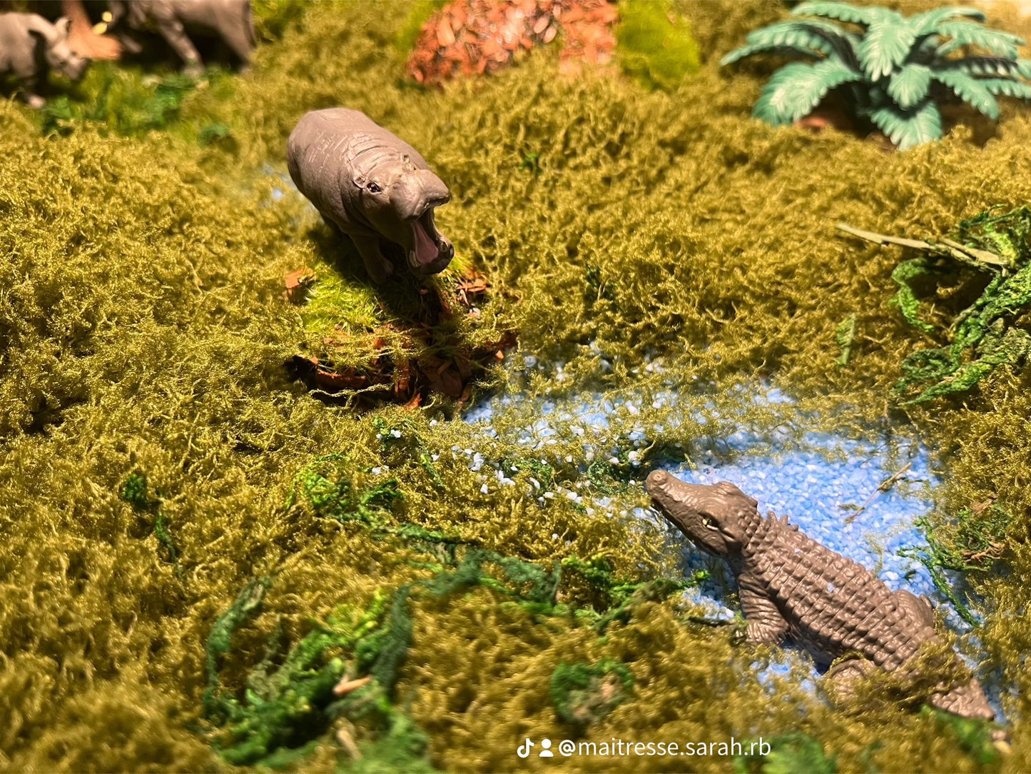 Notre atelier - "Les animaux sauvages"