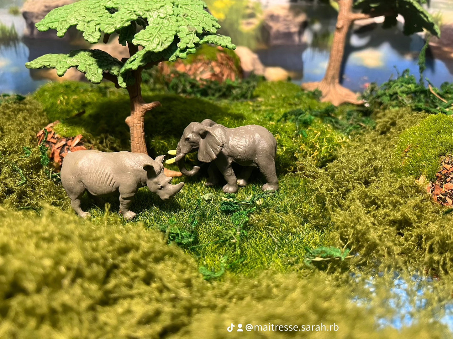 Notre atelier - "Les animaux sauvages"