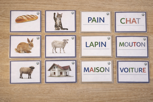 Cartes de lecture et association des images - écriture capitale