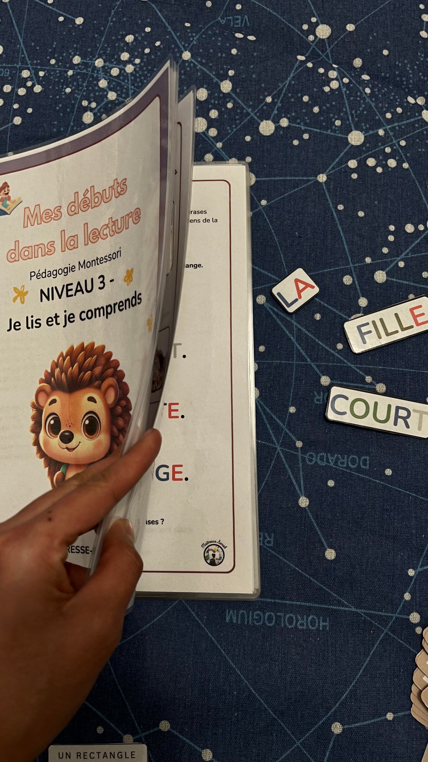 PDF – Mes débuts dans la lecture - Niveau 3 - Je lis et je comprends