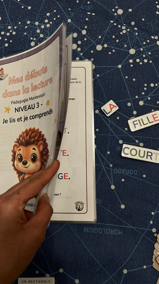 Livret format physique - Mes débuts dans la lecture - Niveau 3 - Je lis et je comprends