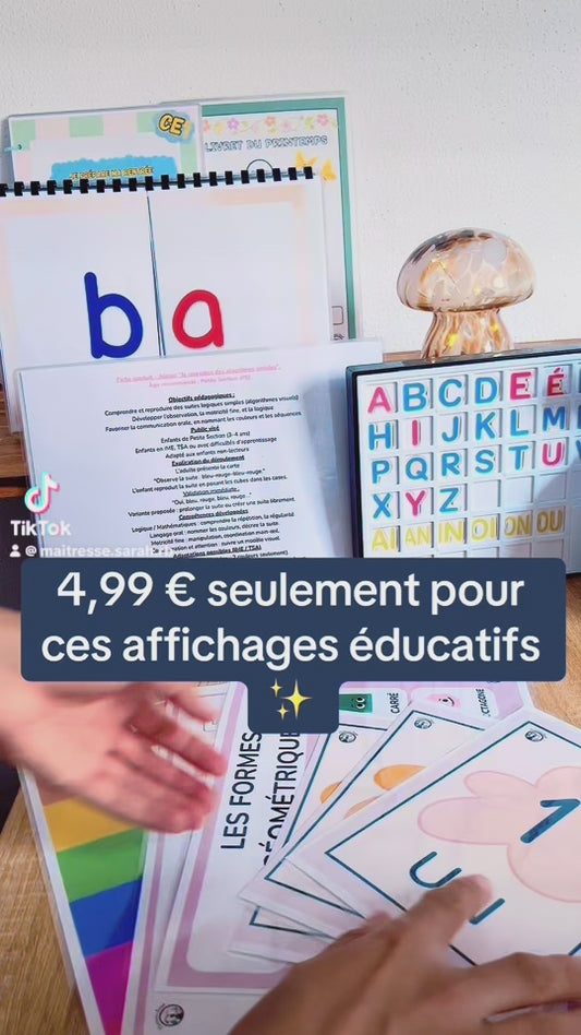 Format physique  - Lot d’affichages éducatifs ✨